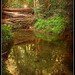 Fred Brooks Photo 43
