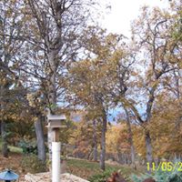 Vicki Underwood Photo 14