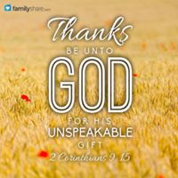 Janice Bradley Photo 15