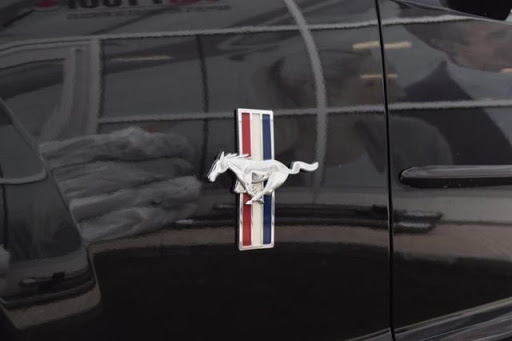 Daniel Lefebvre Photo 30