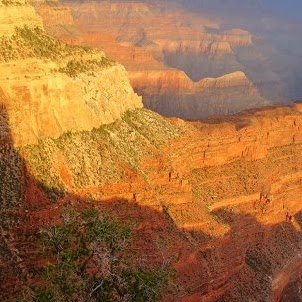 Frederick Cummings Photo 25