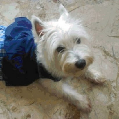 Milly West Photo 3