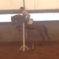 Colleen Macdonald Photo 19