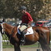 David Sly Photo 10
