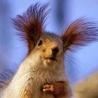 Sharon Crawford Photo 12