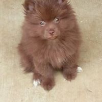 Suzanne Jarvis Photo 25