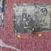 Kathy Turner Photo 17