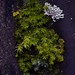 Brandy Moss Photo 38