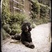 Julian Gray Photo 19