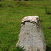 Robert Stone Photo 37