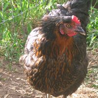 Kristina Schrader Photo 20