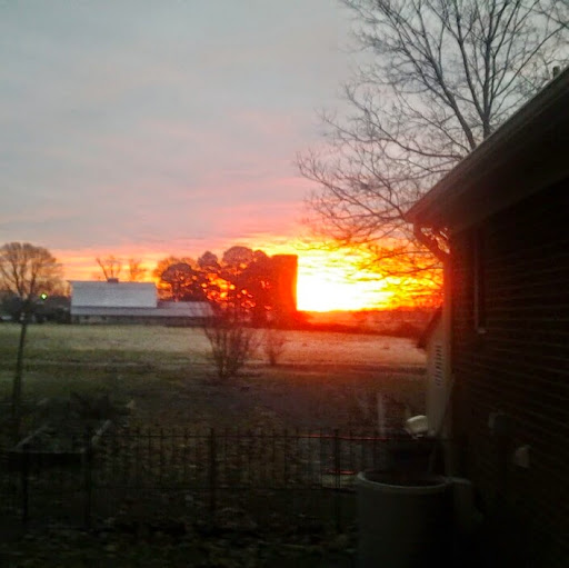 Peggy Yoder Photo 22