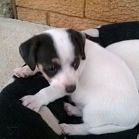 Patricia Power Photo 15