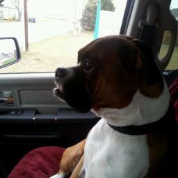 Curtis Garner Photo 17