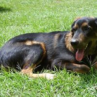 Ronald Bowman Photo 32