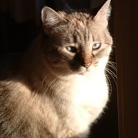 Janet Jacobson Photo 23