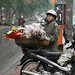 Cindy Sung Photo 26