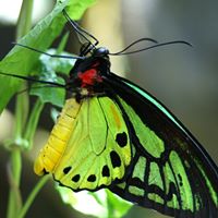 Jill Carrico Photo 2