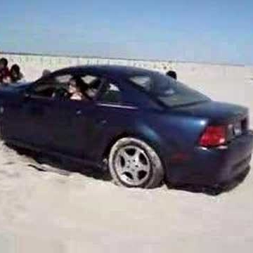 Stephanie Pitts Photo 44