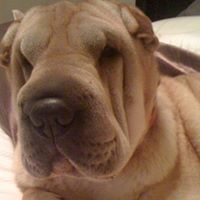 Kimberly Koehler Photo 6