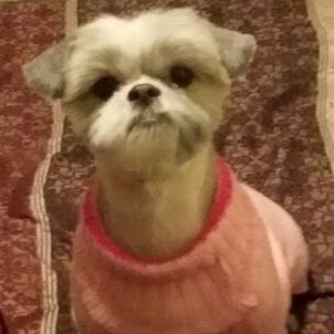 Joann Washington Photo 1