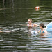 Carolyn Mcdowell Photo 18