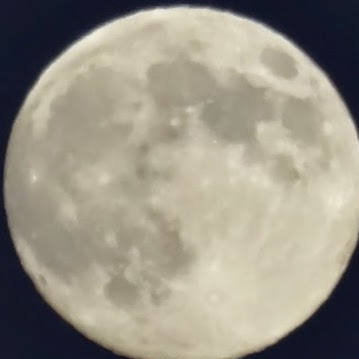 Dale Barker Photo 14