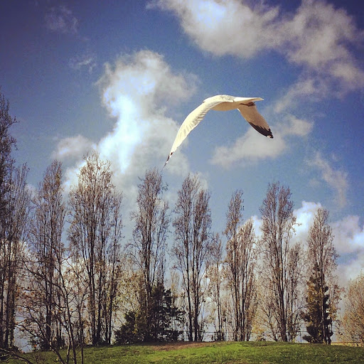 Claudia Ruiz Photo 13