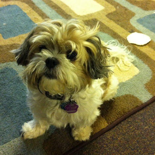 Lori Sutton Photo 33