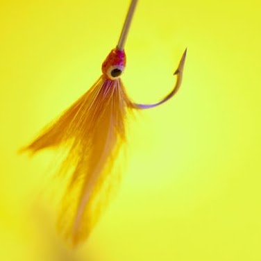 John Saunders Photo 61 John Saunders Photo 61