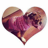 Sarah Chavez Photo 20