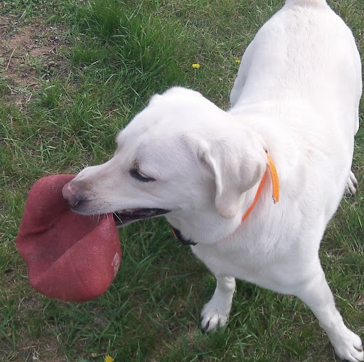 Robert Bridges Photo 18