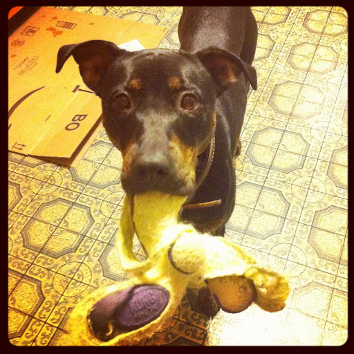 Jennifer Duffy Photo 14