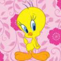 Norma Espitia Photo 7