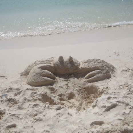 Billy Chandler Photo 31 Billy Chandler Photo 31