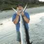 Mark Aston Photo 15
