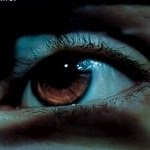 Tracey Vincent Photo 6