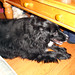 Elizabeth Samson Photo 21
