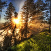 Ray Flora Photo 15