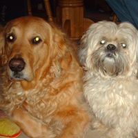 Cheryl Keegan Photo 15