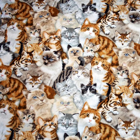 Sara Harrison Photo 38