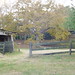 Martha Maher Photo 26
