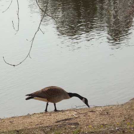 Sue Mcdaniel Photo 11