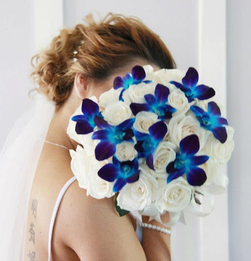 Stephanie Carr Photo 28