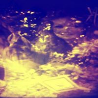 Rebecca Jenkins Photo 48