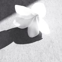 Lauri Tanner Photo 3