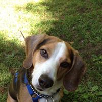 Lorie Schulz Photo 6