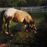Shelly Stanley Photo 16