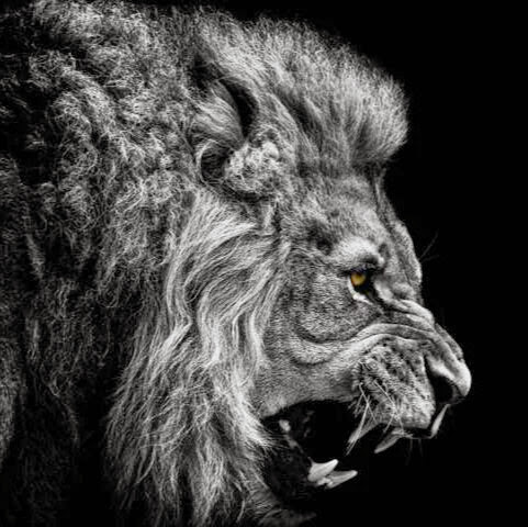 Anthony Estrada Photo 10