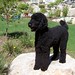 Charlene Huff Photo 7